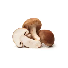 organic mushrooms