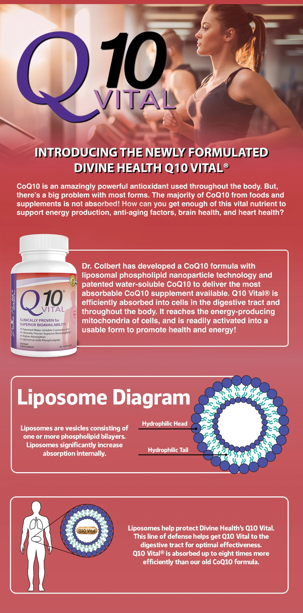 Divine Health Living COQ10 info